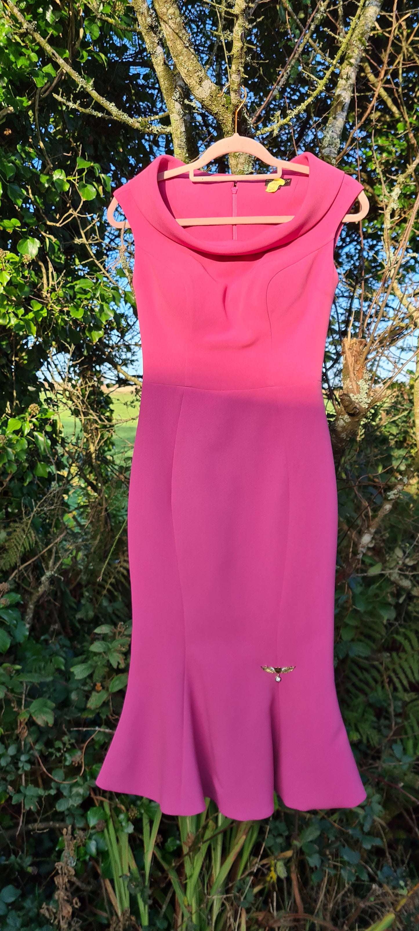 Phoenix v dress size 6