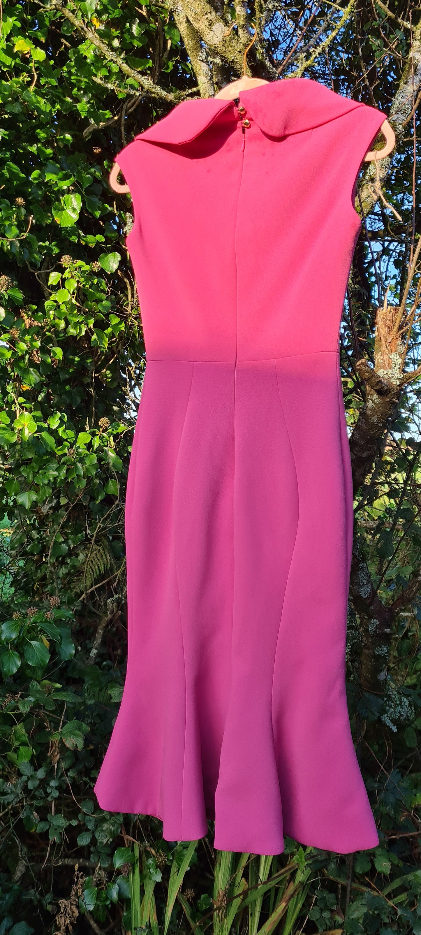 Phoenix v dress size 6