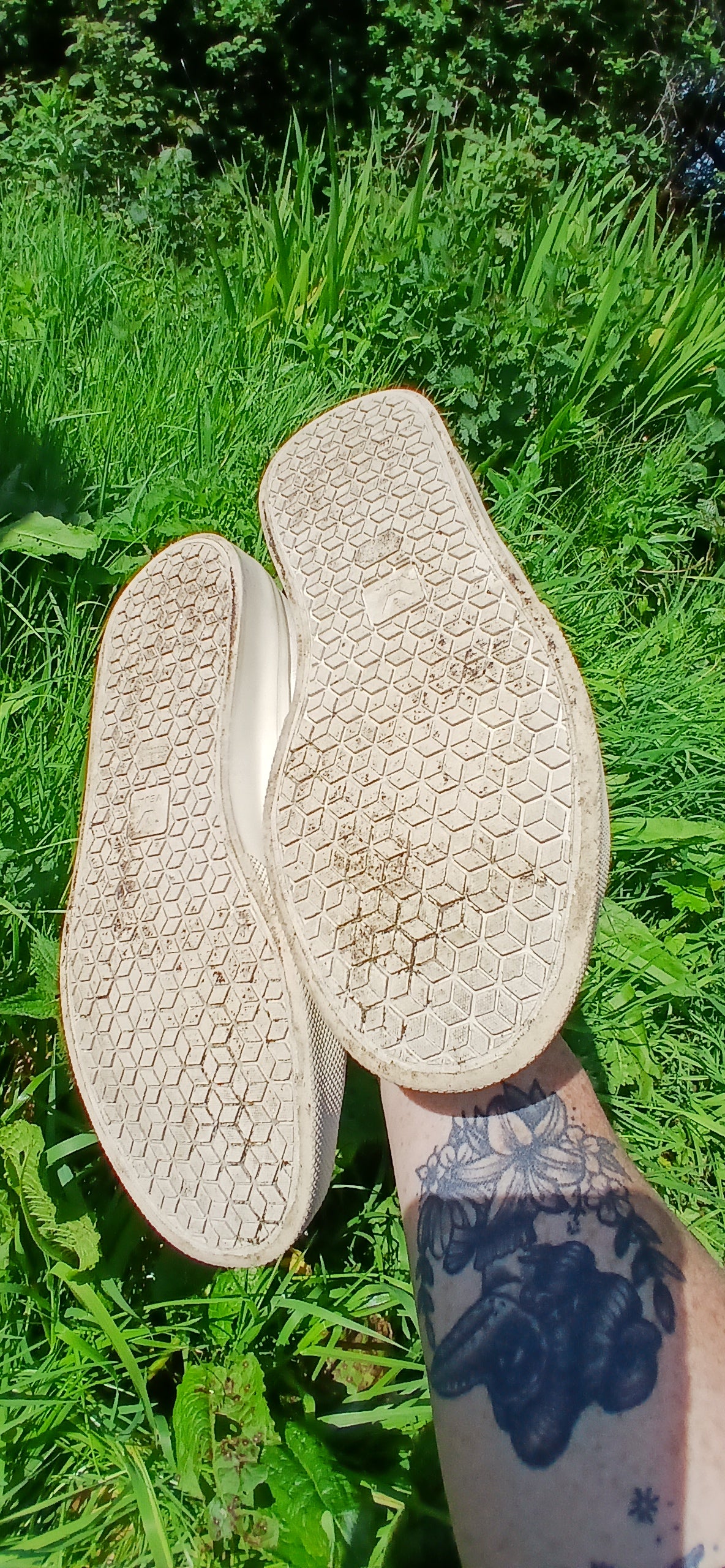 Vejas size 5