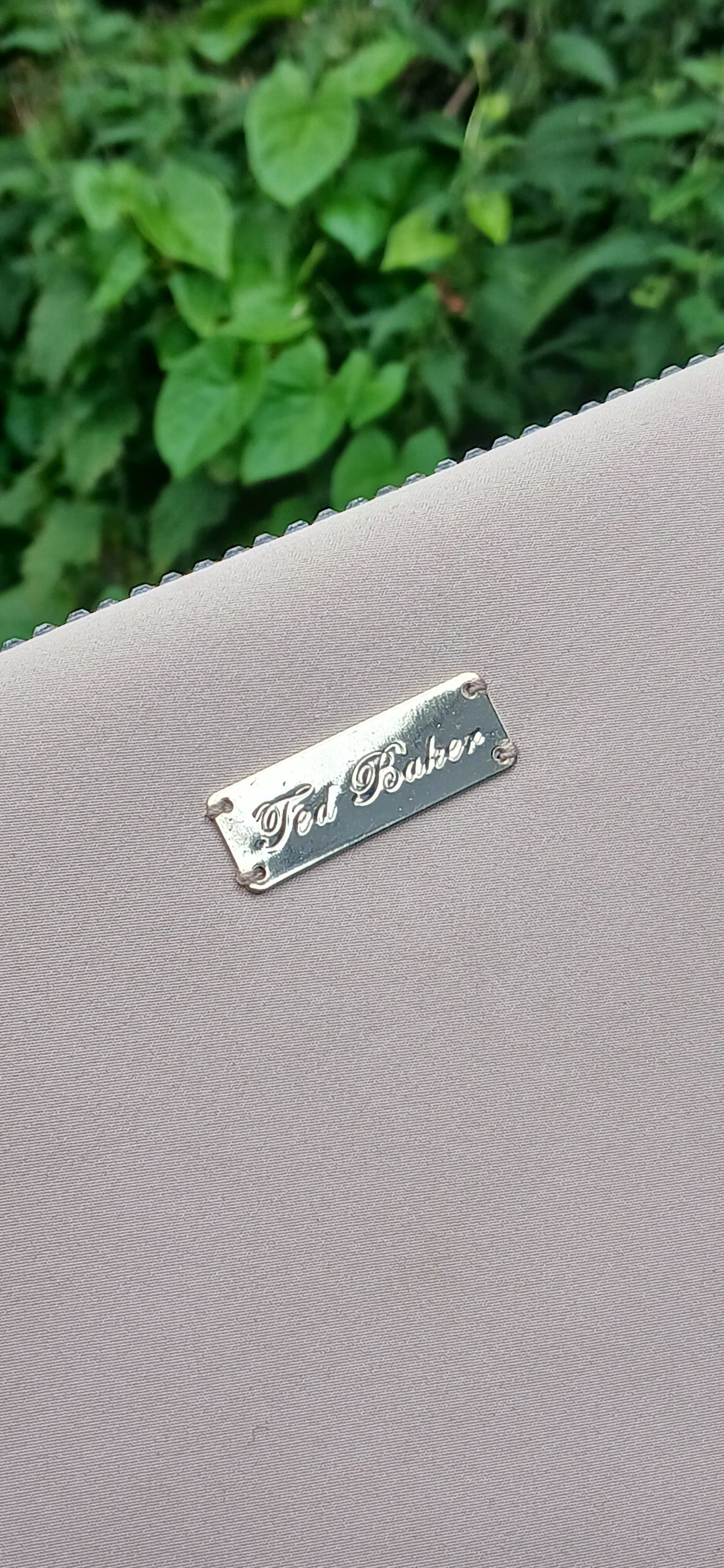 Ted Baker clutch