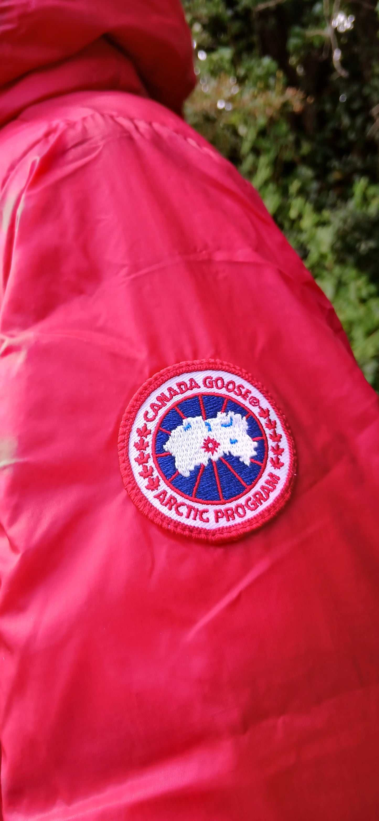 Canada Goose size 10