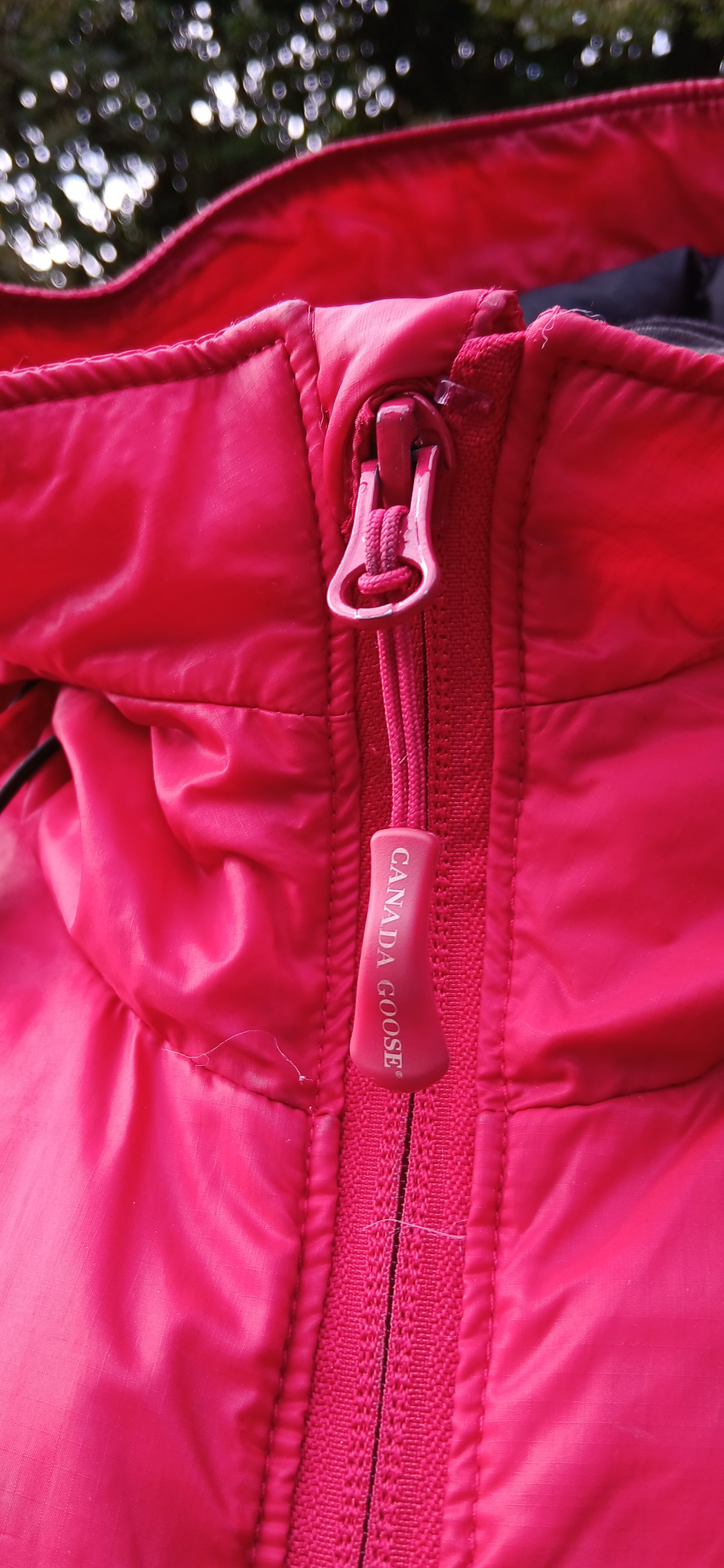 Canada Goose size 10