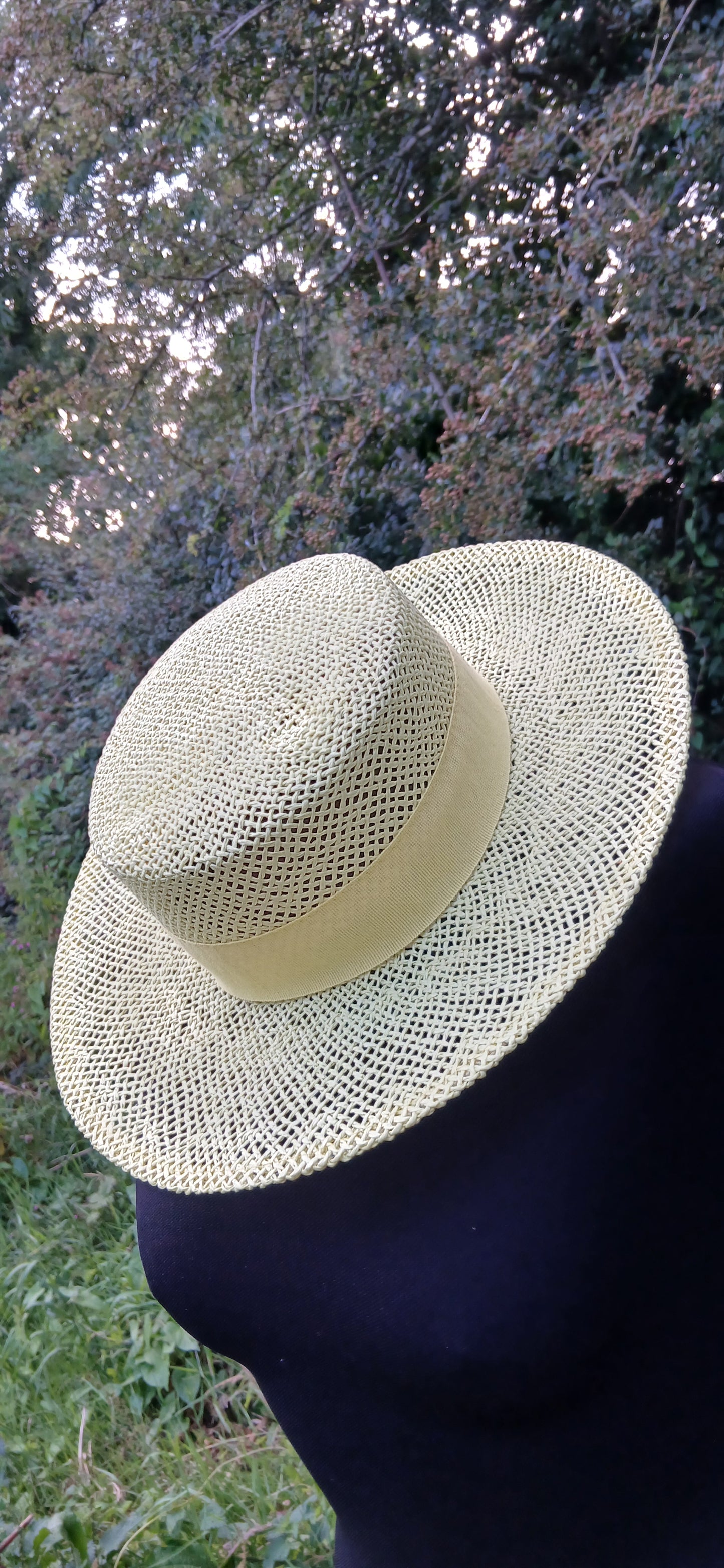 Panama hat