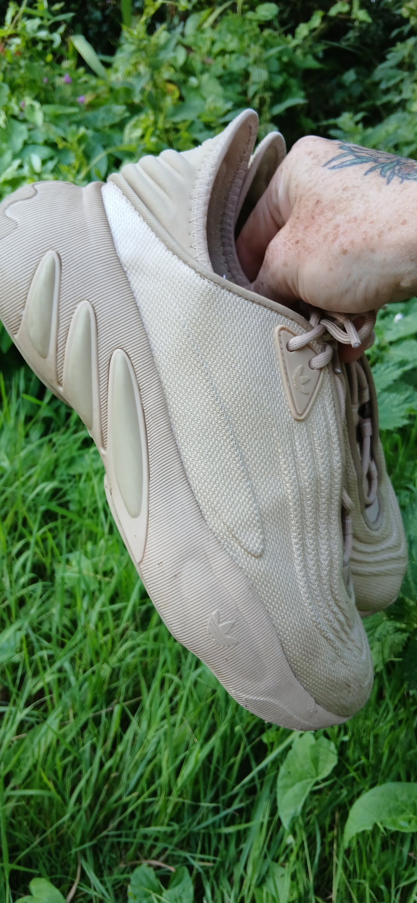 Adidas size 7