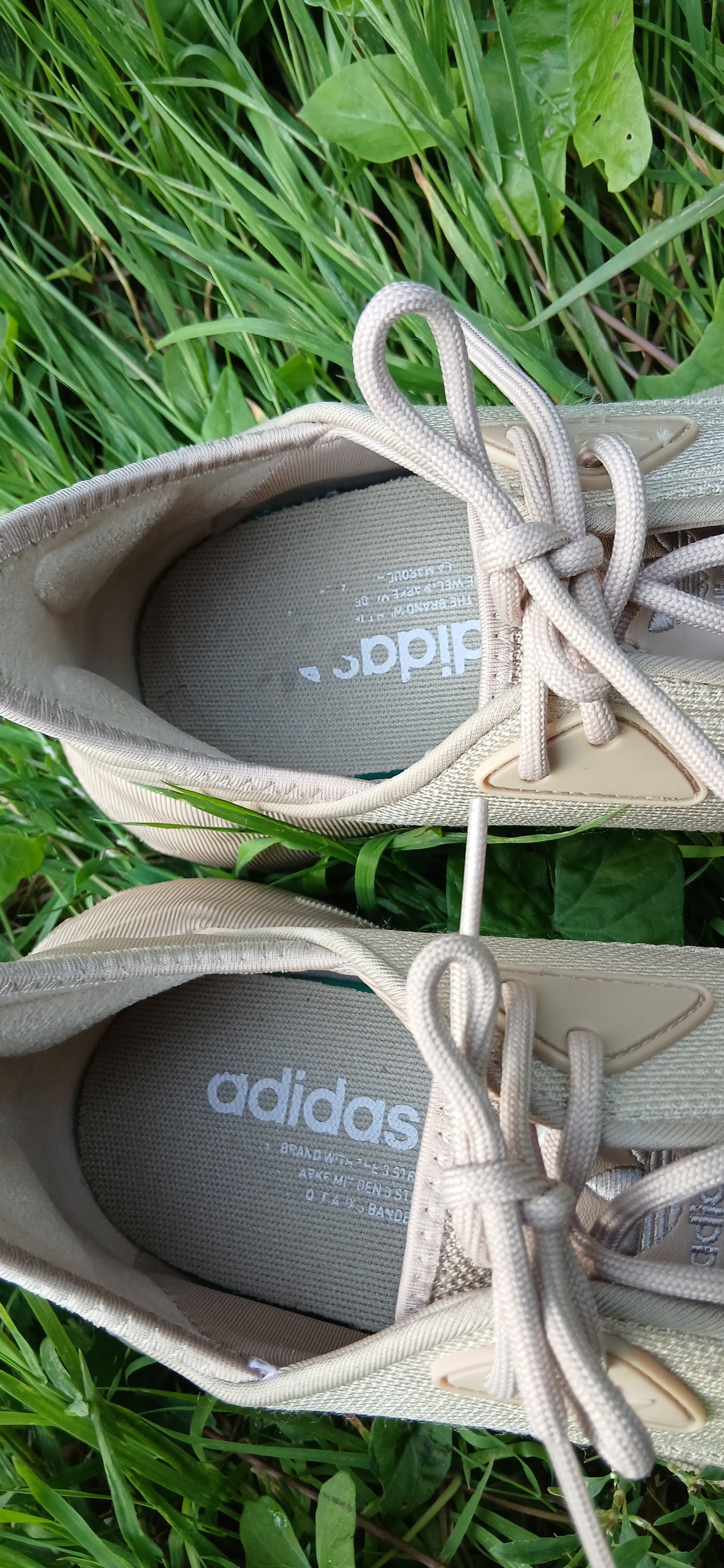 Adidas size 7