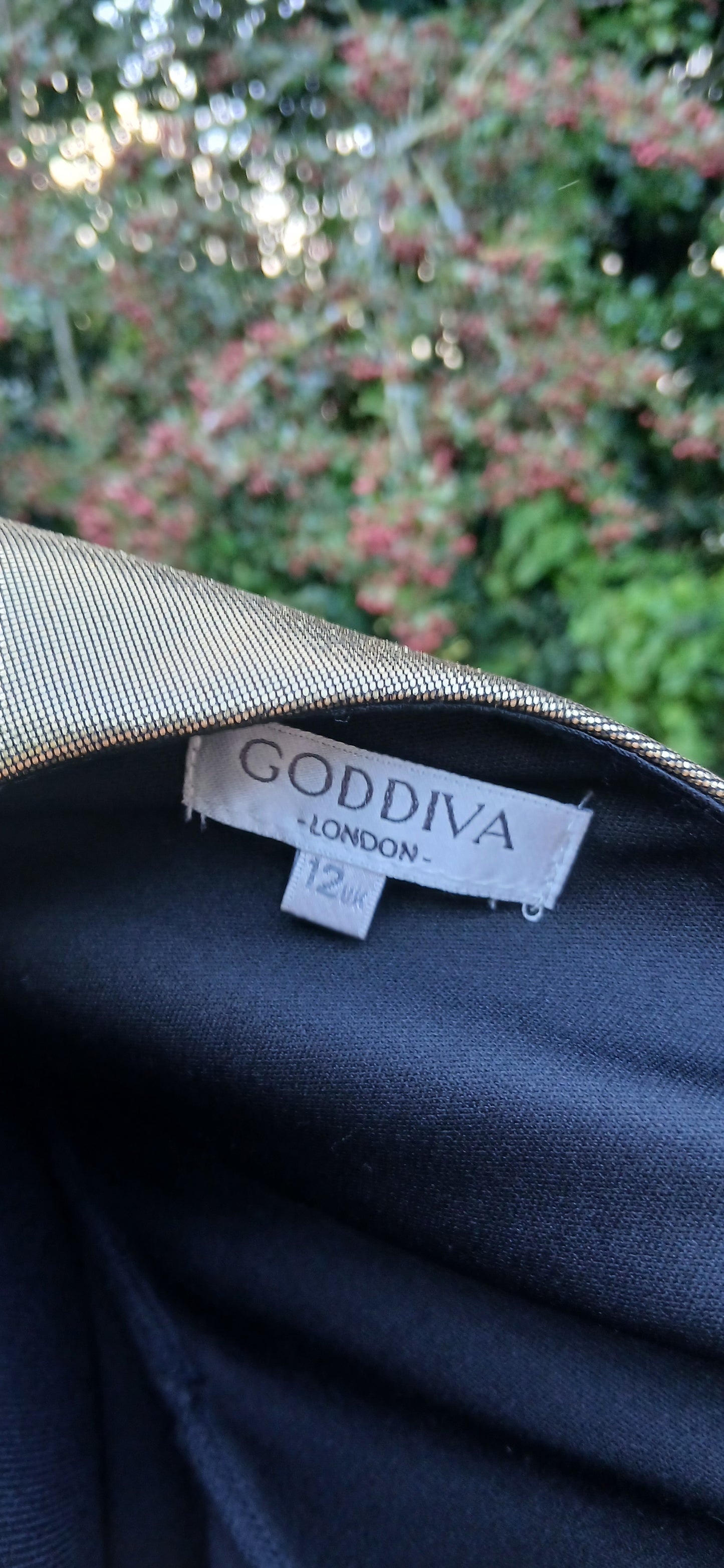 Godiva dress size 12