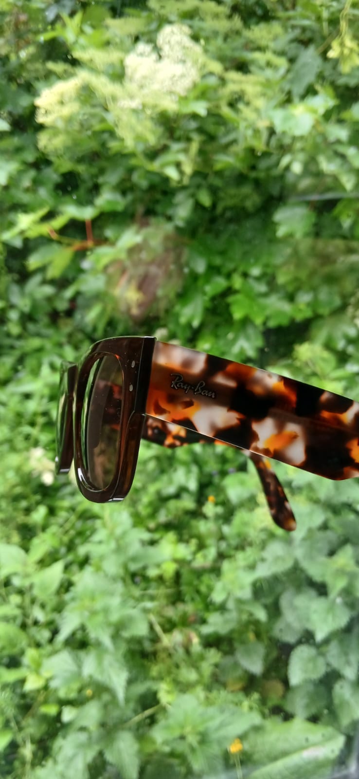 Ray Bans
