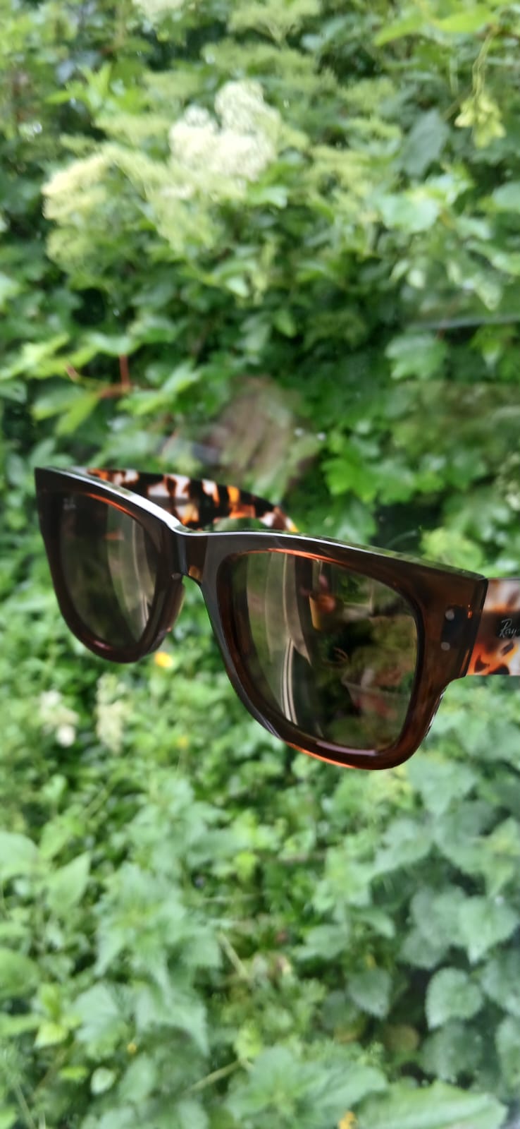 Ray Bans