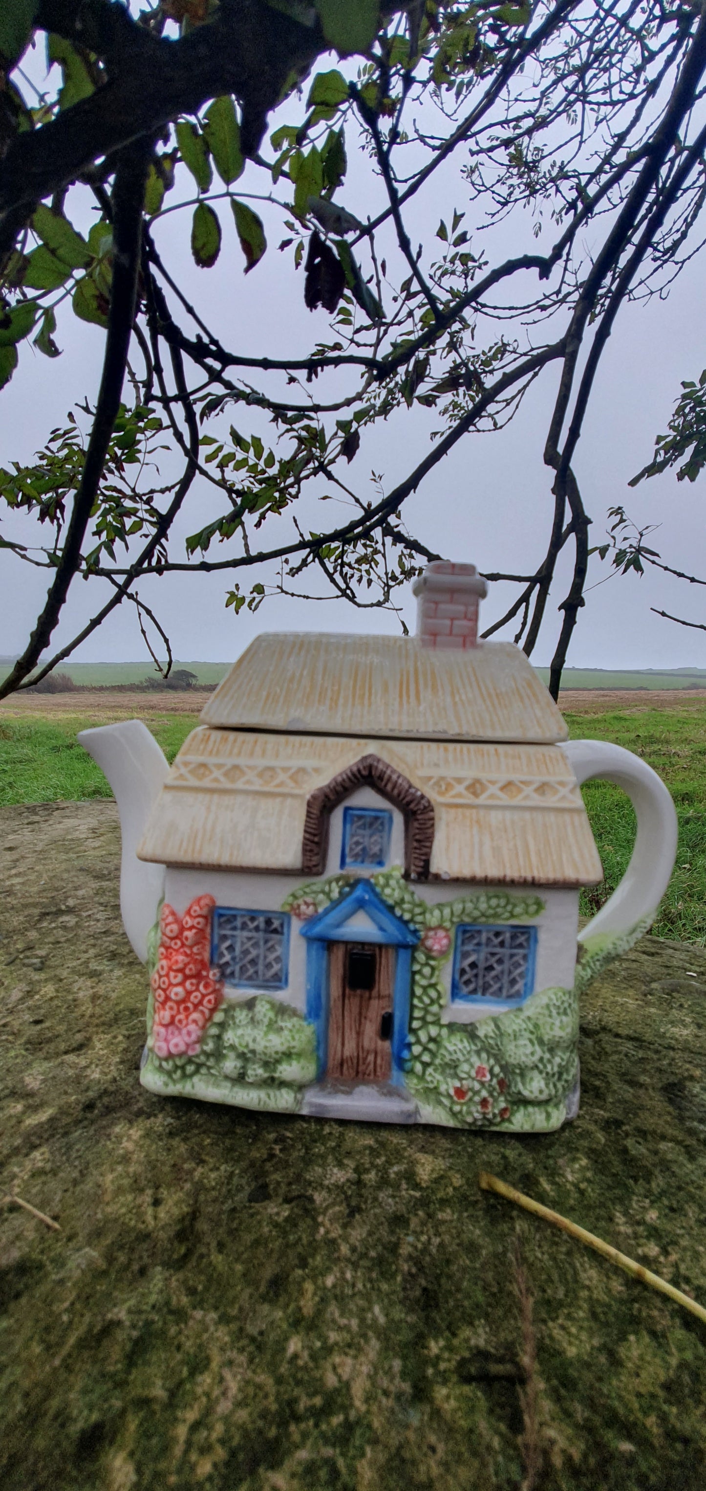 Foxglove cottage teapot