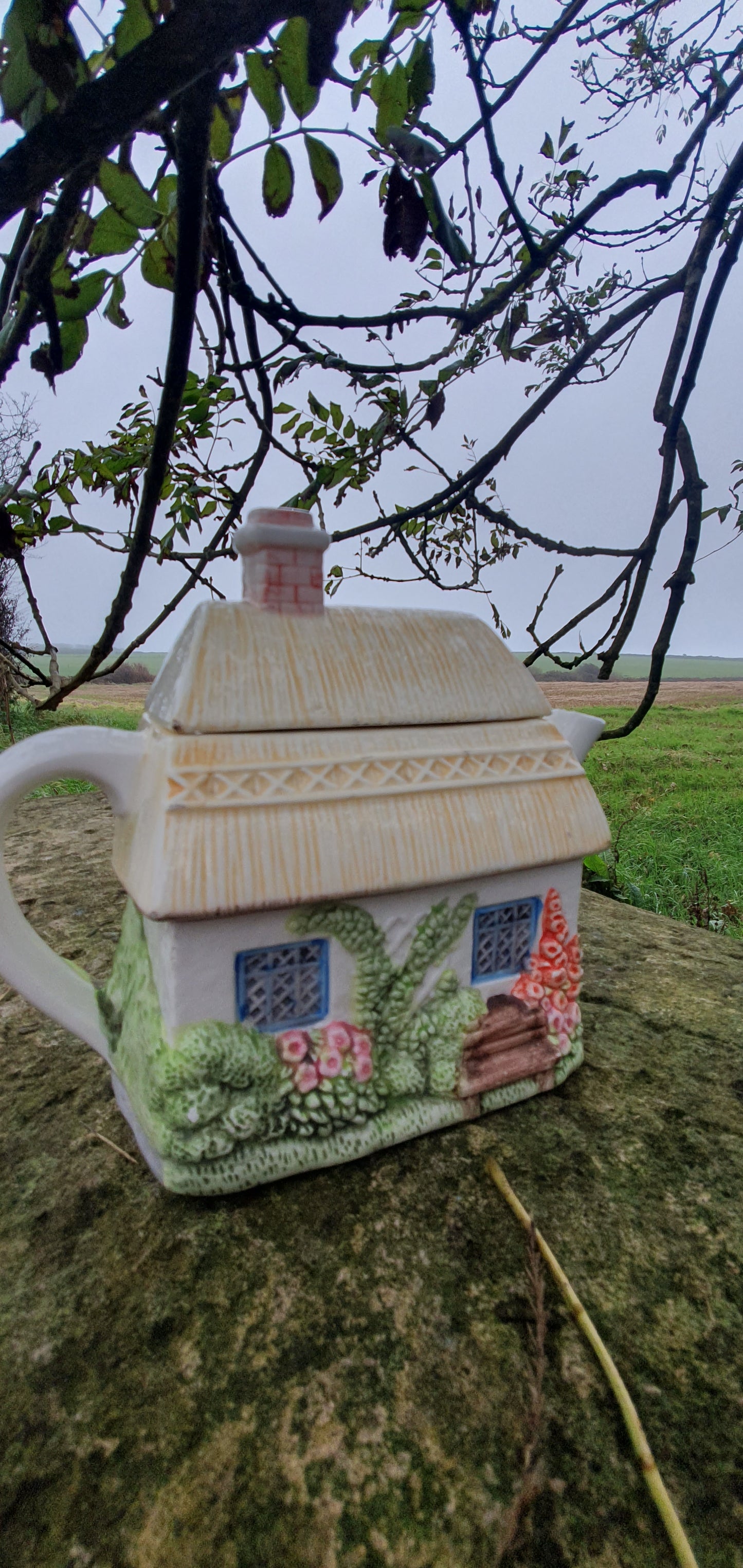 Foxglove cottage teapot