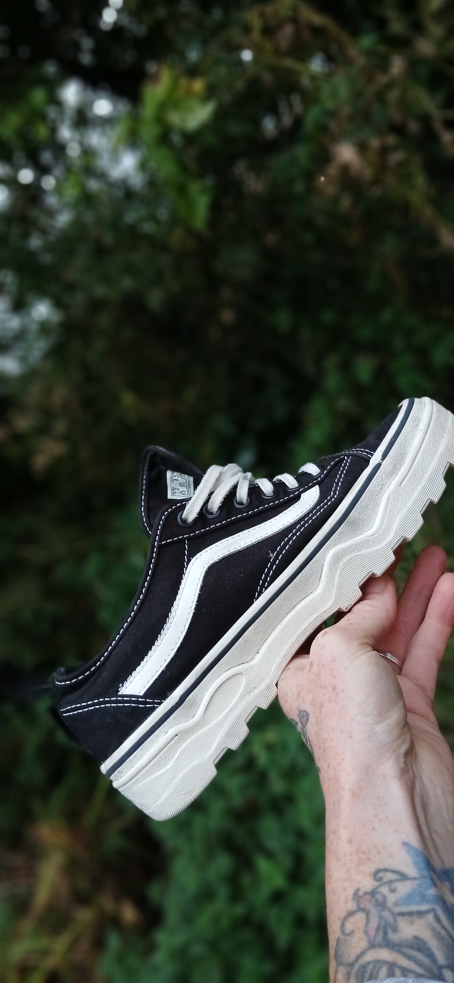 Vans size 6
