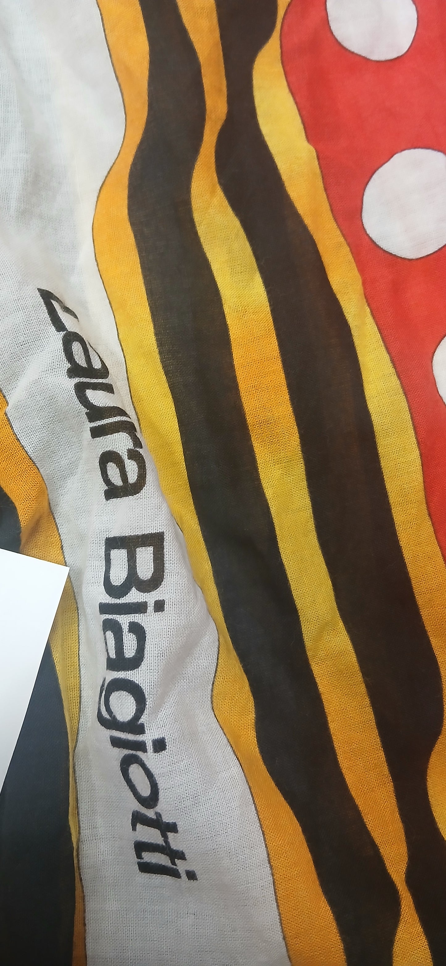 Laura Biagiotti scarf xl