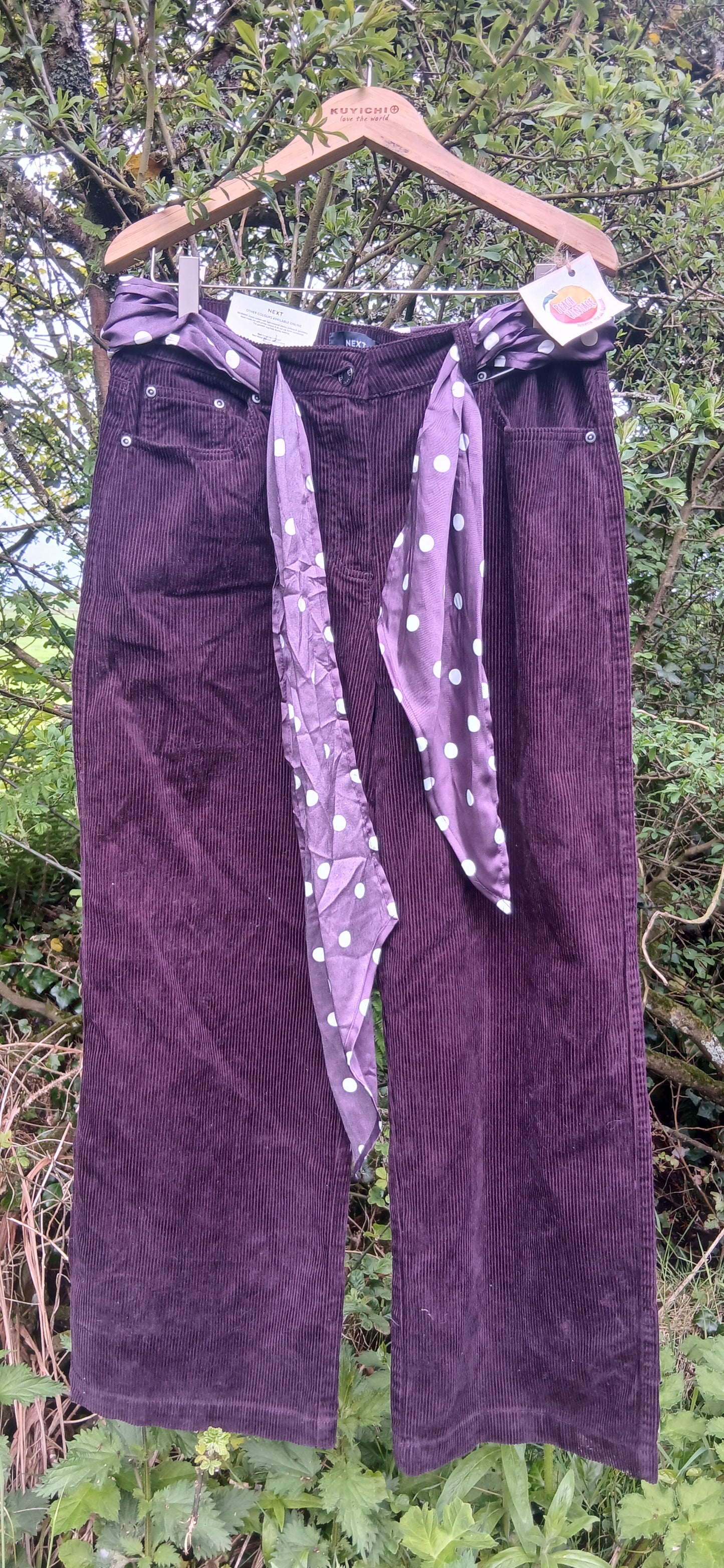 Cord Pants size 10r