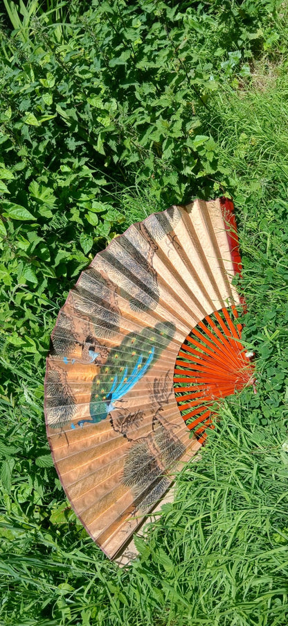 Asian vintage wall fan