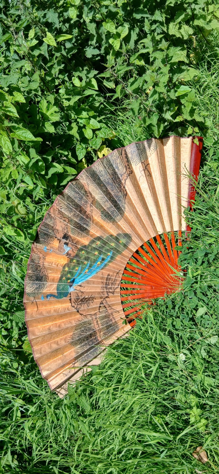 Asian vintage wall fan