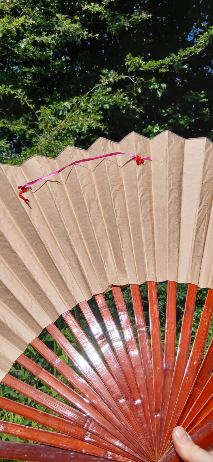 Asian vintage wall fan