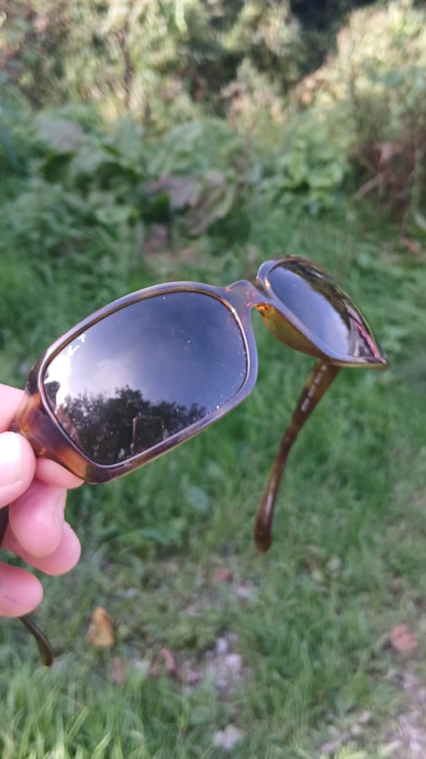 Ray-Ban Tortoiseshell Polarized Sunglasses