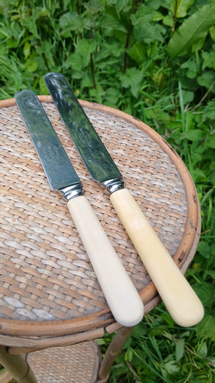 Two vintage-style butter knives with light-colored handles and dark metal blades.
